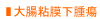 大腸粘膜下腫瘍